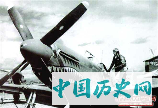 绘有凶猛虎鲨图案的