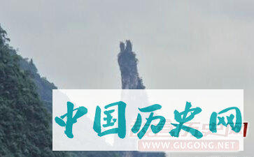 玉兔望月的故事