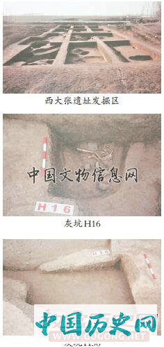 山东广饶西大张遗址发现后李文化遗存