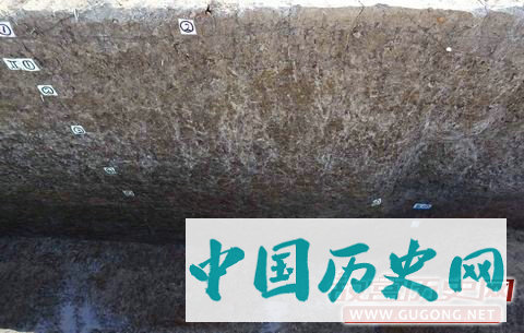 湖南李家屋场遗址发现新石器时代晚期聚落壕沟及墙垣