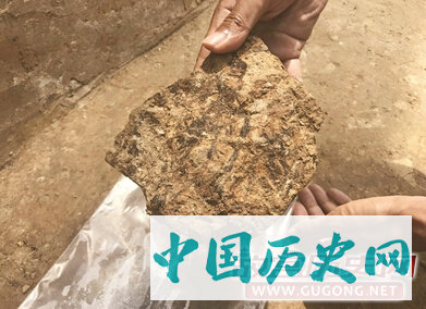 江苏金坛发掘8座春秋土墩墓　已出土文物近千件