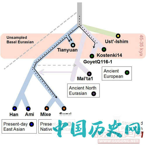 北京房山田园洞四万年前一男性个体的DNA成功提取测序：第一个中国古人类基因组