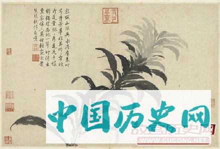 沈周《写生》图册欣赏